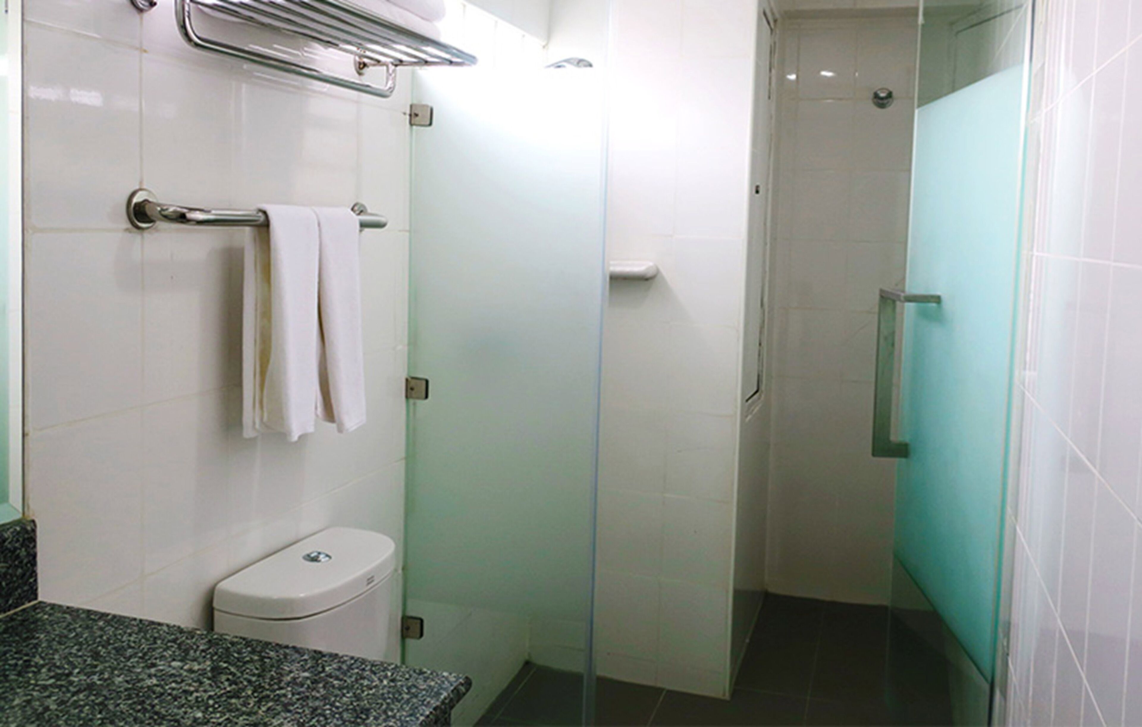 A bathroom with a toilet, a towel rack, and a glass shower enclosure.