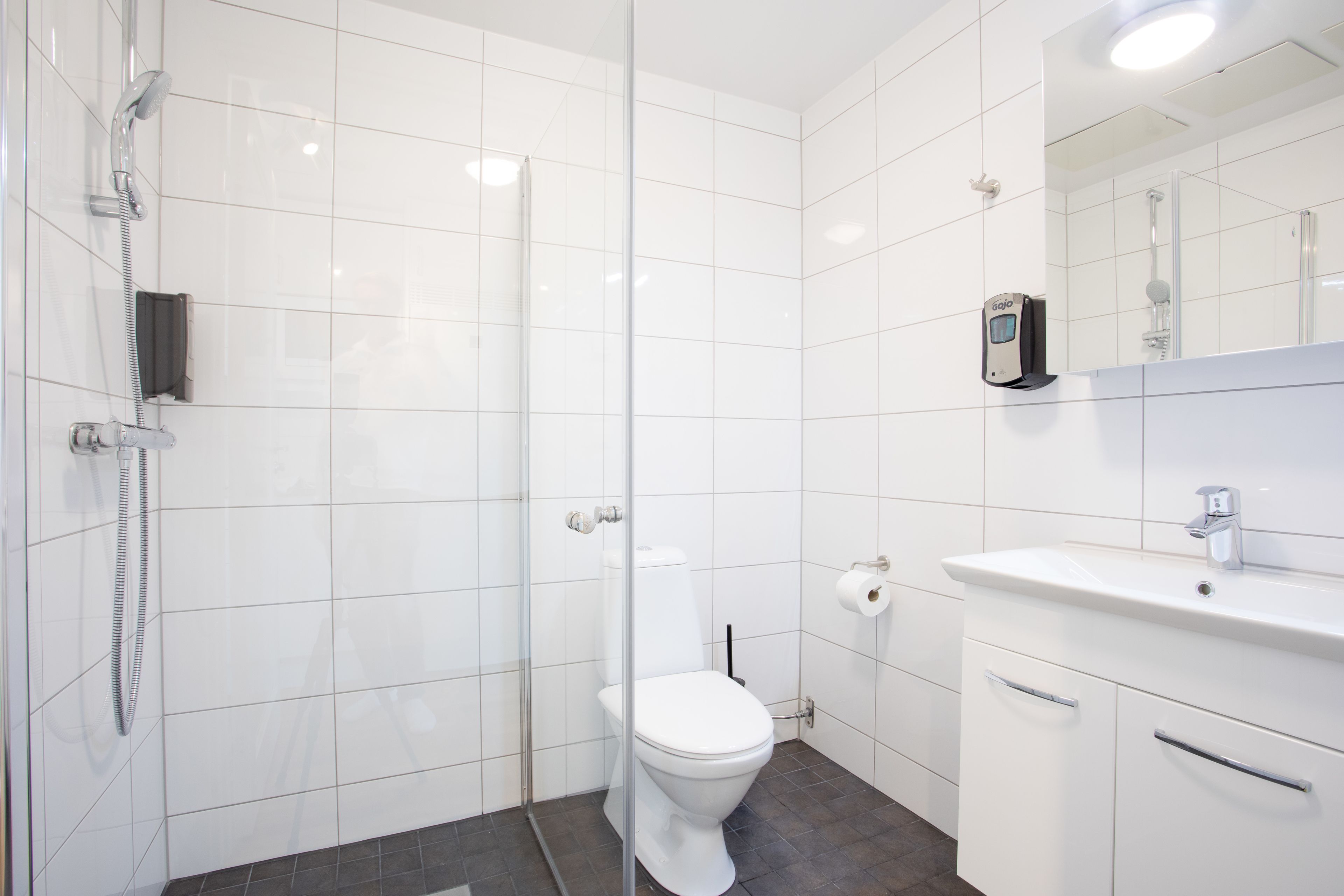 A modern bathroom with a glass shower enclosure, a white toilet, and a vanity with a sink and mirror.