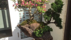 A bonsai tree with pink flowers on a wooden stand in a garden area. - Alter Winzerhof Weisenheim am Berg e.K. (Weisenheim am Berg)