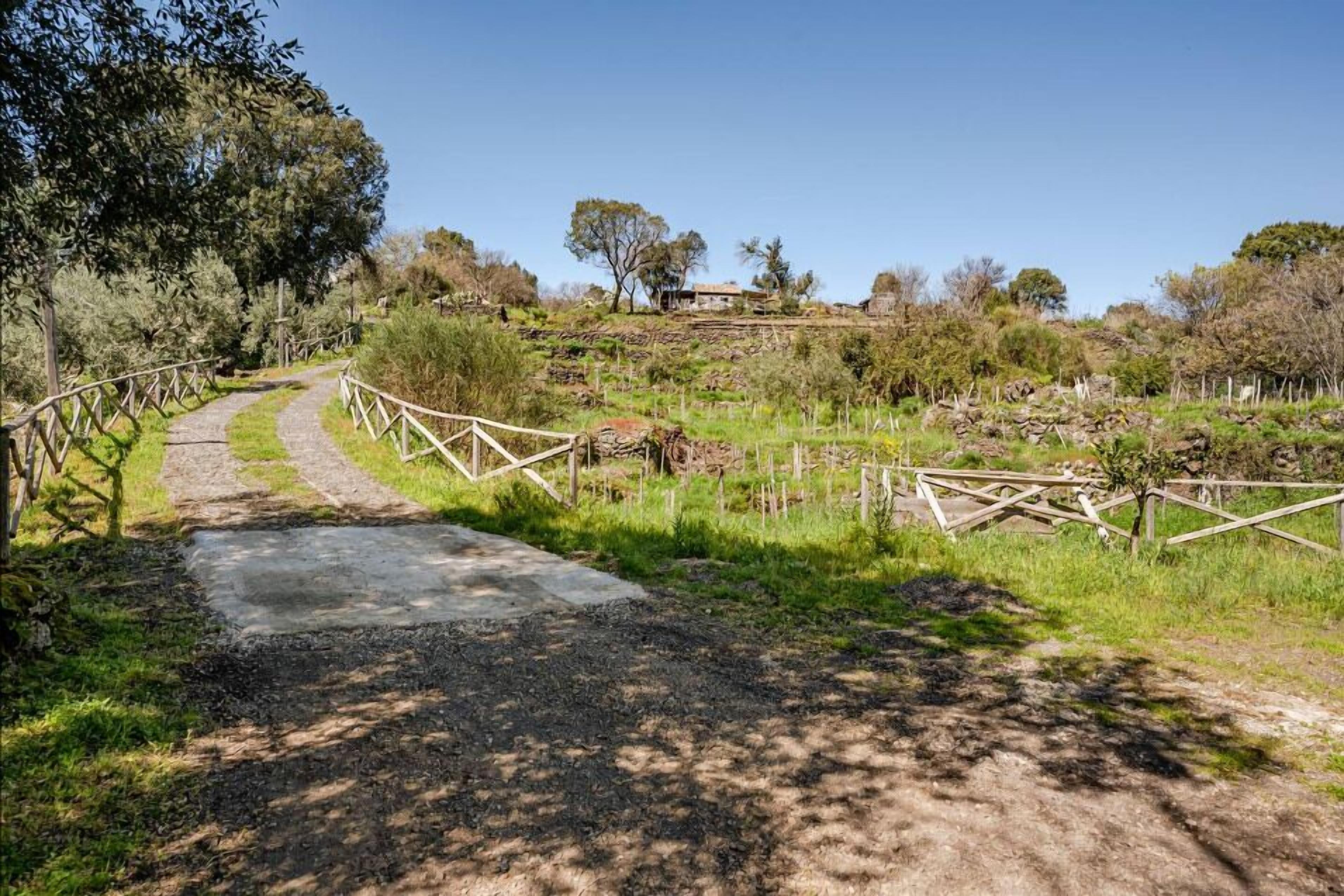 A rural pathway with a stone bridge, surrounded by greenery and fences.