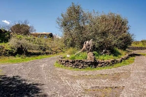 A rural landscape with a stone pathway leading to a stone wall and a tree. - Etnella enoagriturismo Notti Stellate (Mascali)