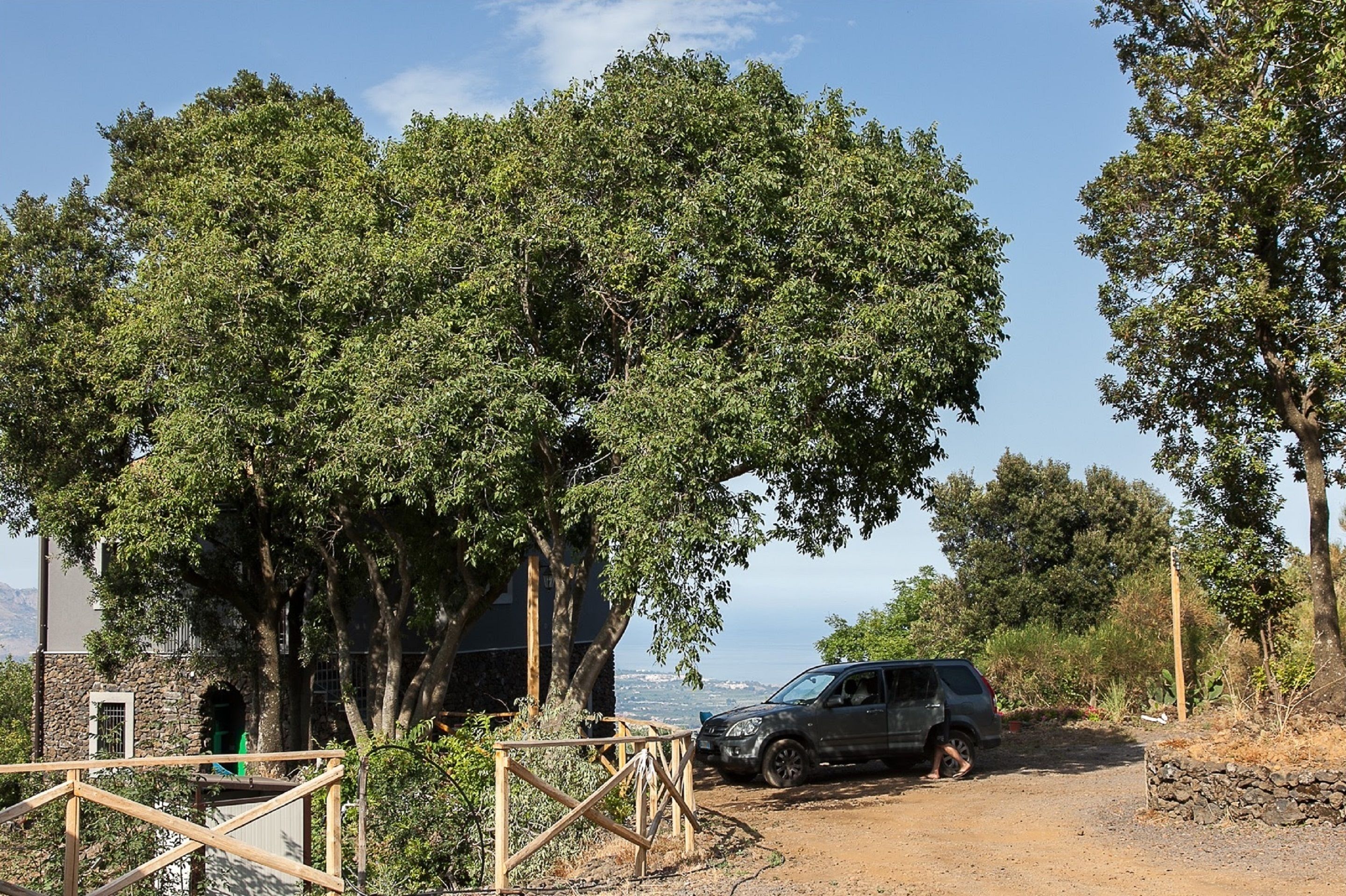 Free self parking