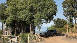A rustic building with a stone facade, surrounded by lush greenery and trees. - Etnella enoagriturismo Notti Stellate (Mascali)