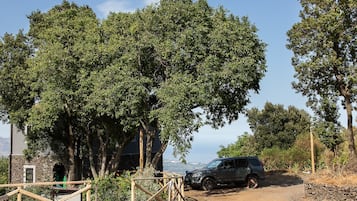 Free self parking