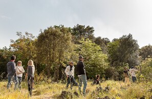 A group of people walking in a natural outdoor setting with trees and grass. - Etnella enoagriturismo Notti Stellate (Mascali)