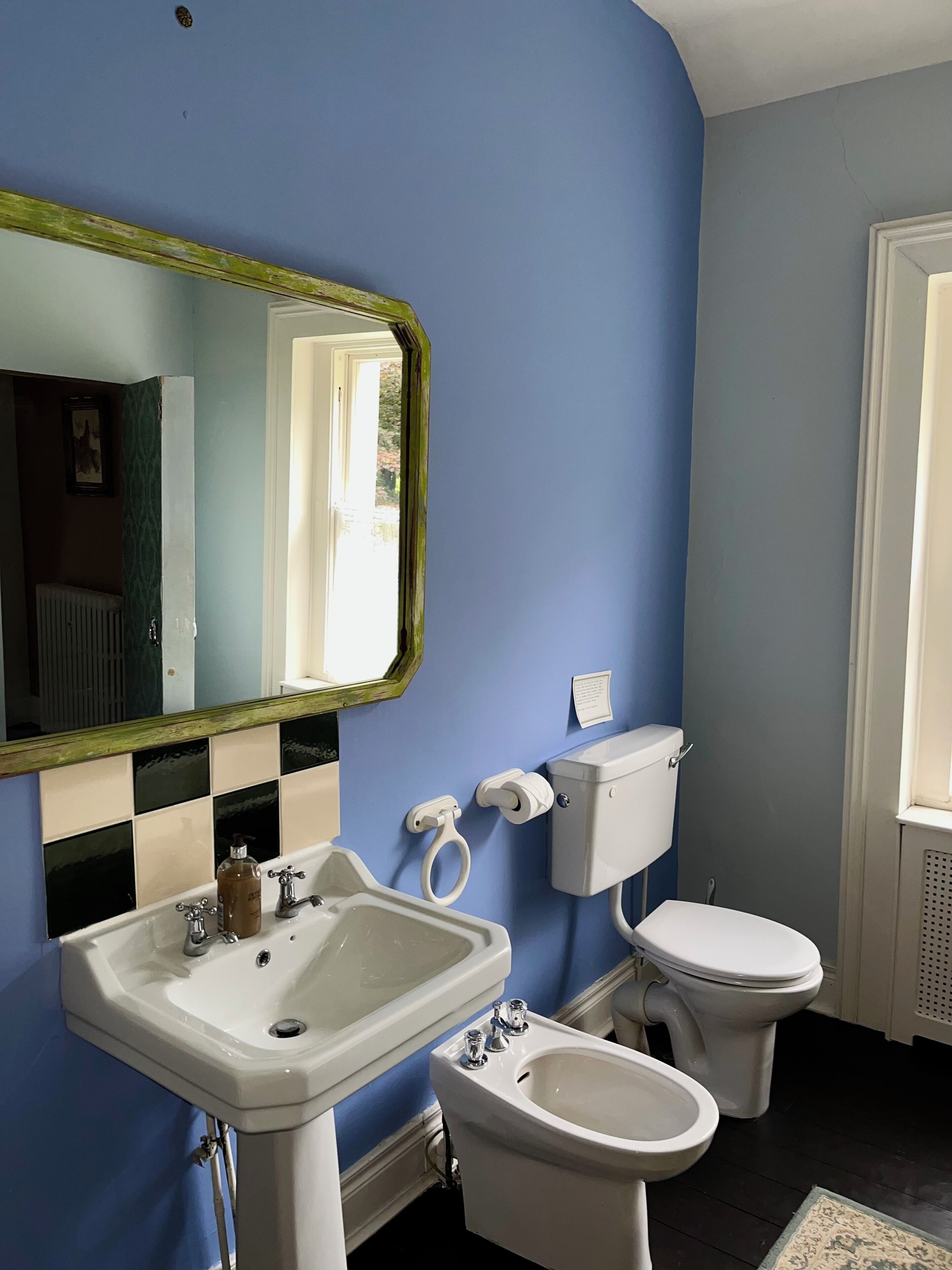 A bathroom with a sink, bidet, toilet, and a mirror with a green frame.
