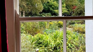 Ein Fenster mit Blick auf einen Garten, der verschiedene Pflanzen und Bäume zeigt.