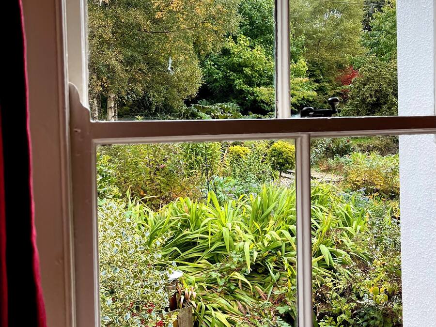 Ein Fenster mit Blick auf einen Garten, der verschiedene Pflanzen und Bäume zeigt.