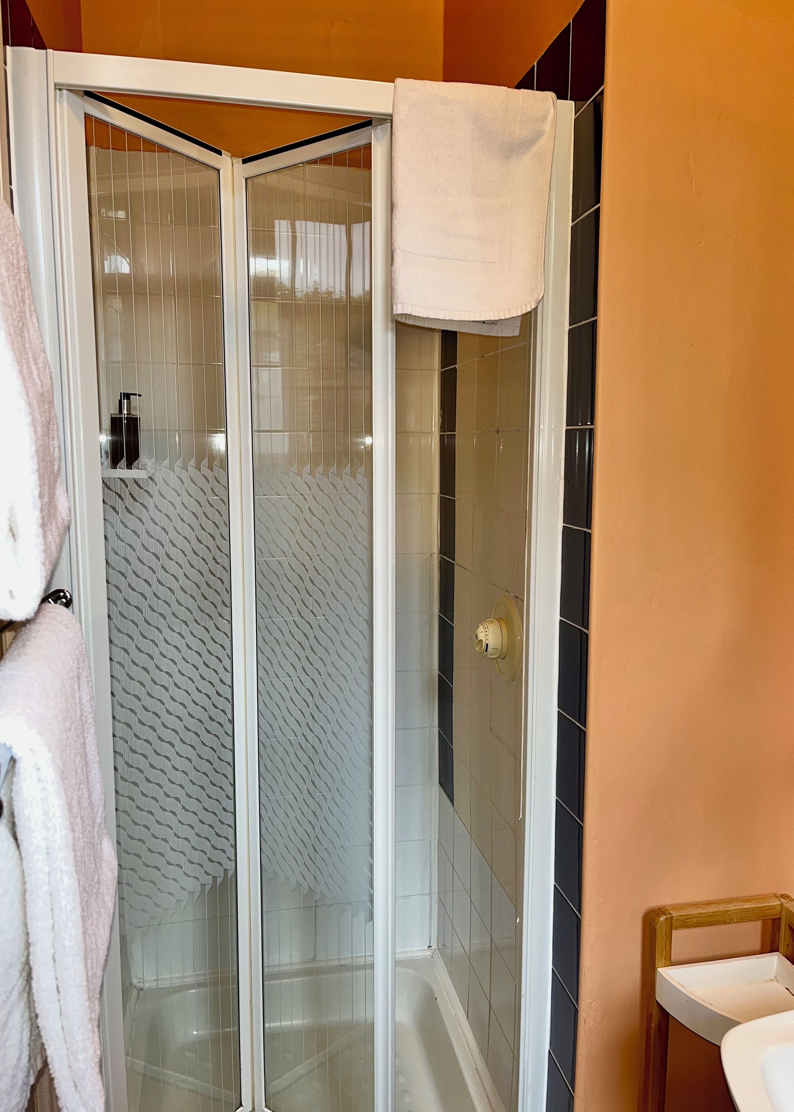 A shower with a glass door, a towel hanging on the door, and a toilet visible to the right.
