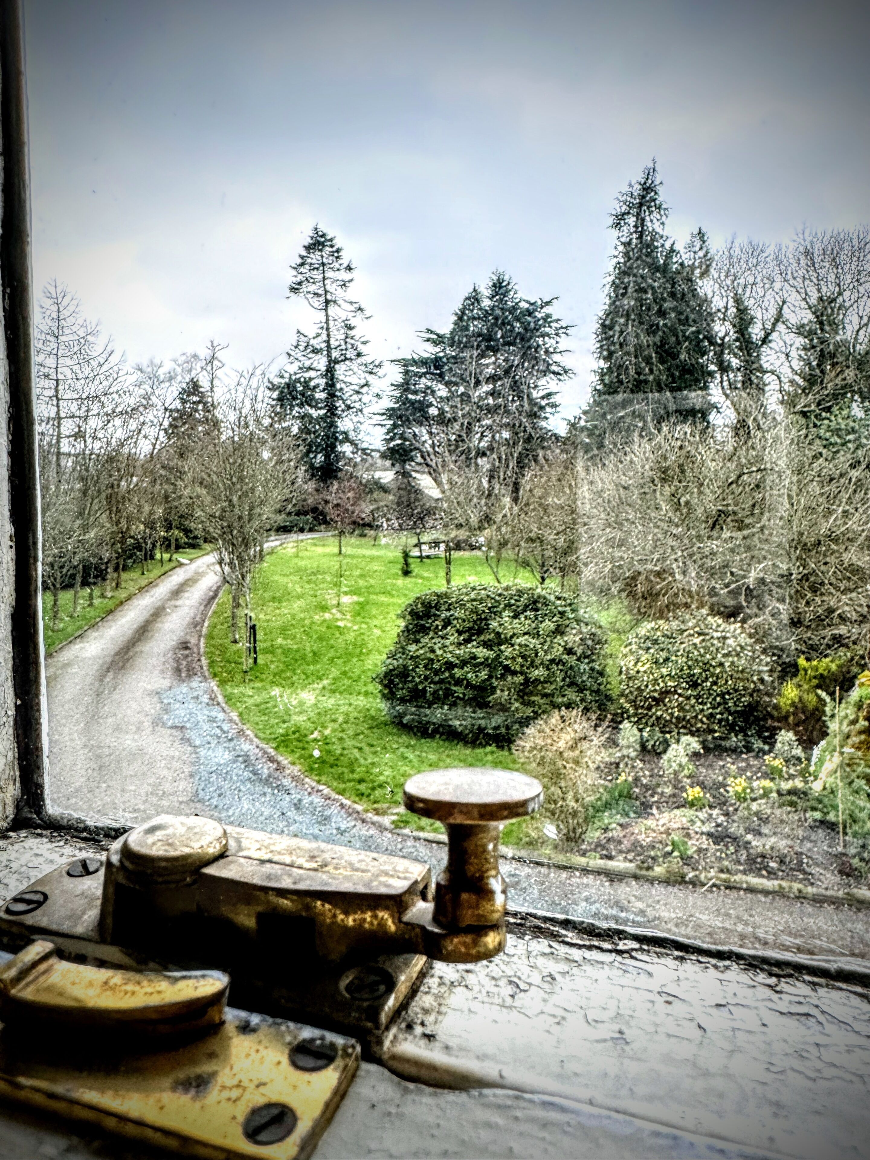 A view through a window with a metal railing, a grassy area, and trees.