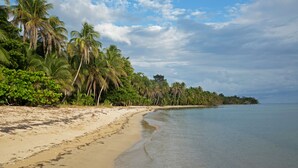 Una playa con palmeras y cielo despejado.