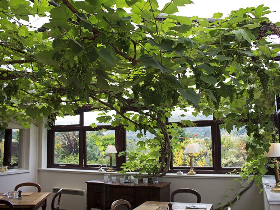 Lounas ja illallinen, paikallinen keittiö