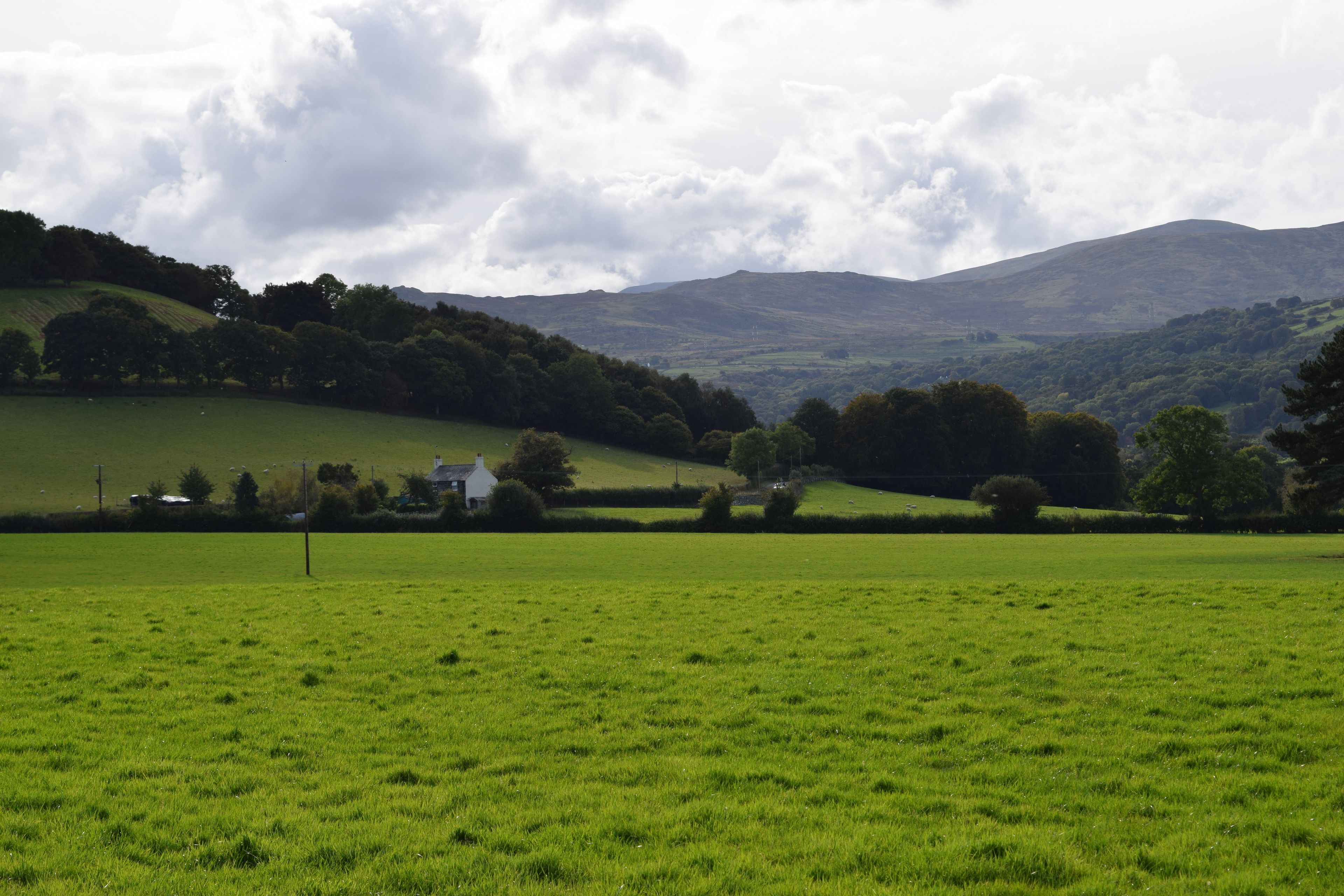 Foto - The Groes Inn