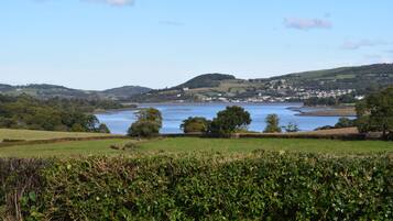 A coastal landscape with a body of water, green fields, and a distant town.