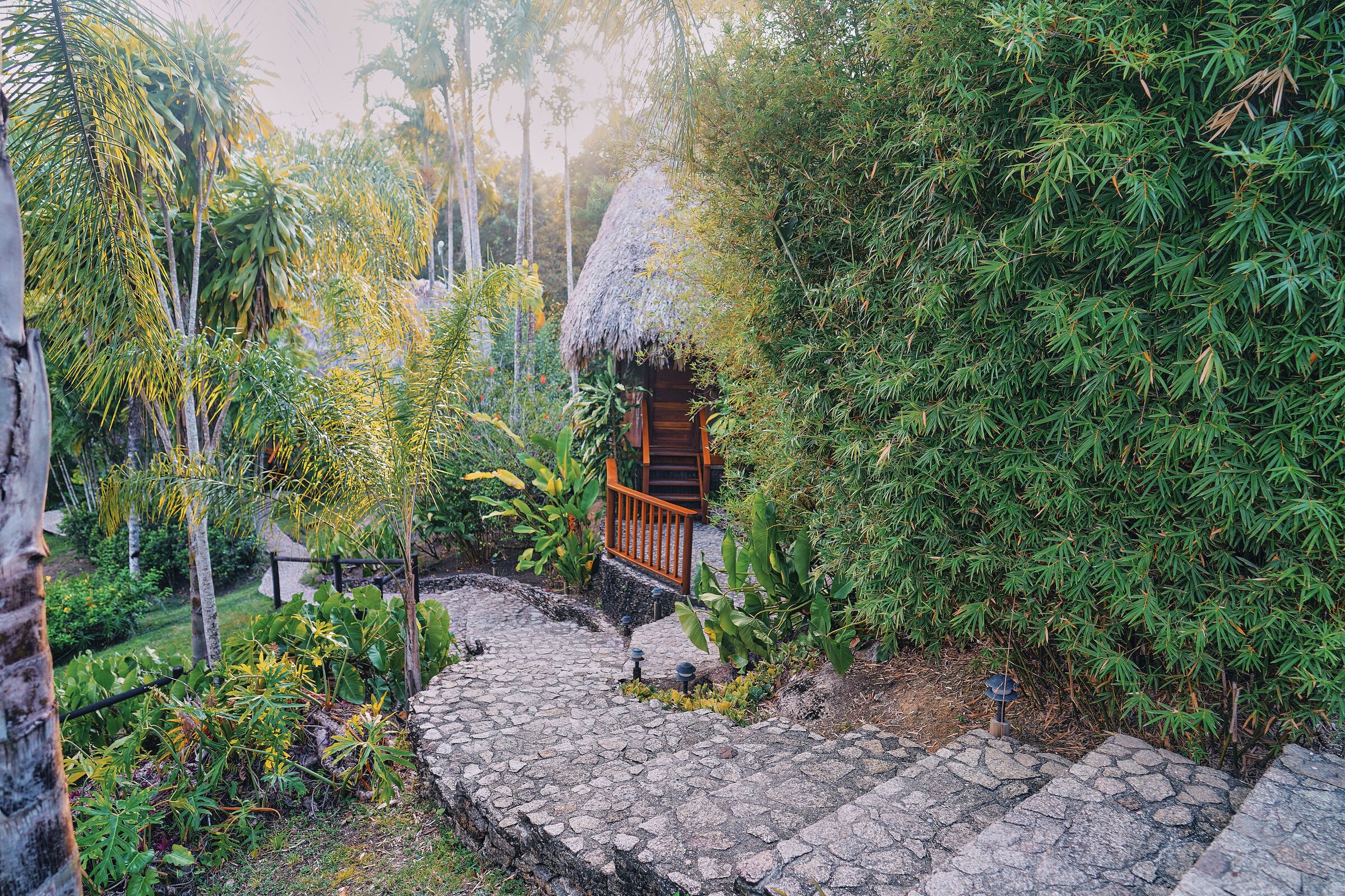 A thatched-roof structure with a wooden door, surrounded by dense green foliage and a stone pathway.