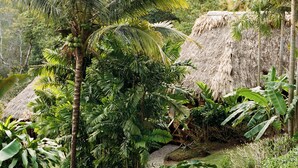Un jardin tropical doté d’une structure à toit de chaume, d’une végétation luxuriante et d’un sentier en pierre.
