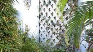 A garden pathway with stepping stones and pebbles, surrounded by various plants and a lattice fence.