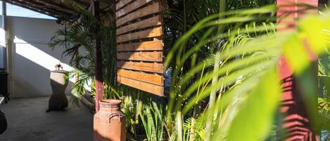 A wooden structure with a slatted wall and a thatched roof, surrounded by various plants and a large terracotta pot.