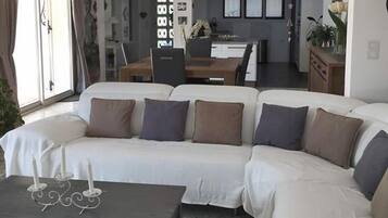 TV, fireplace, DVD player, table tennis