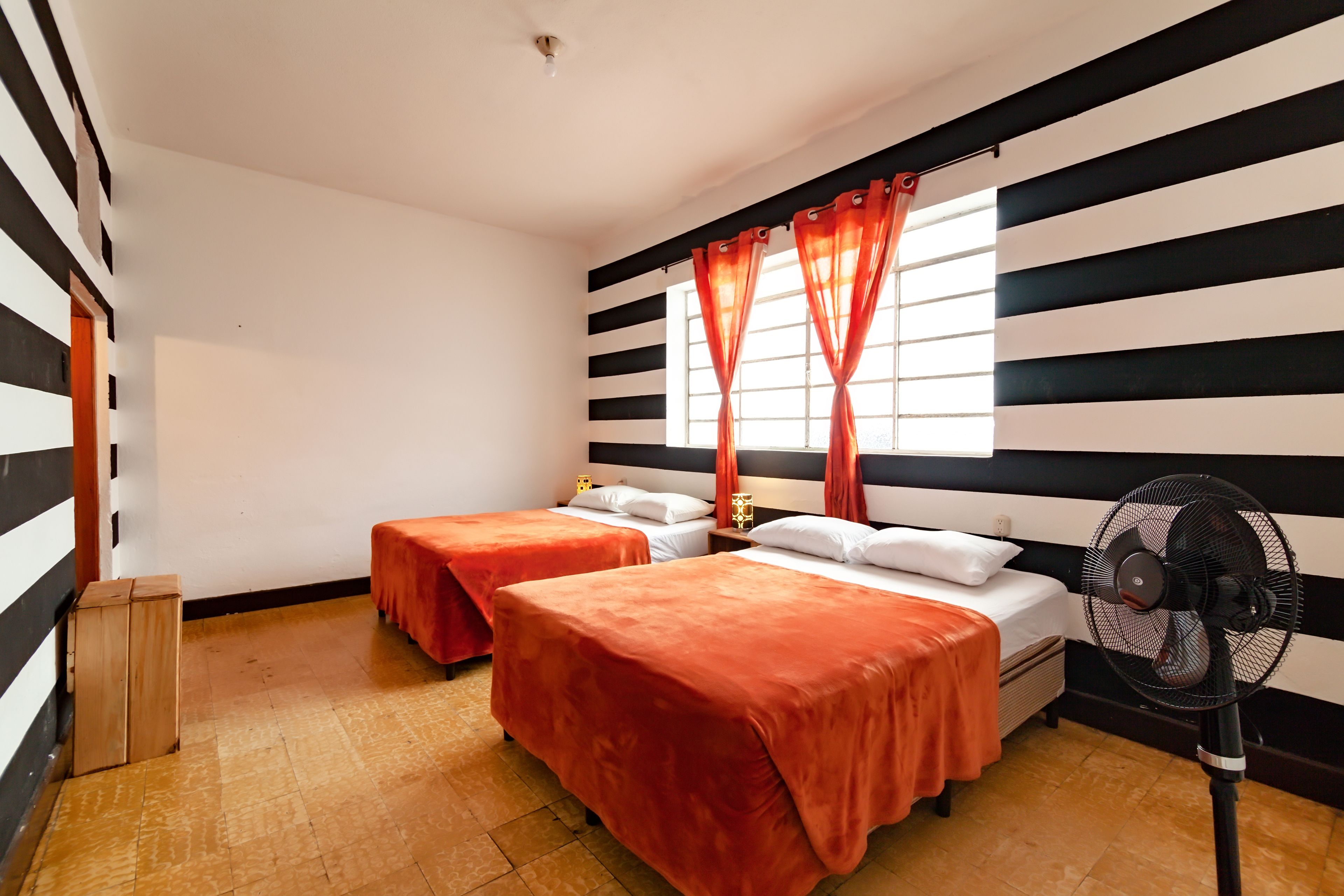 Foto - Tequila Sunrise Hostel