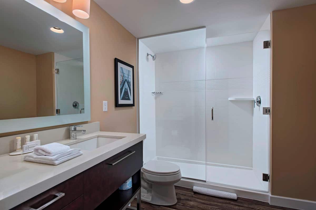 combined shower/bathtub, hair dryer, towels