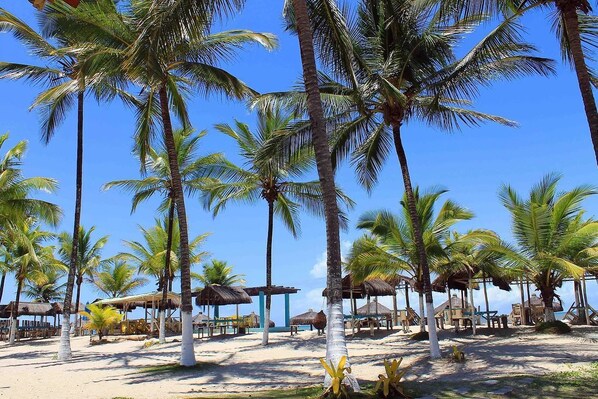 On the beach, beach umbrellas, beach towels