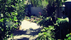 A garden pathway surrounded by lush greenery and flowering plants. - 1AA Wilhelminia Apartments (Franschhoek)