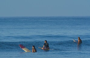 Surfing/boogie boarding
