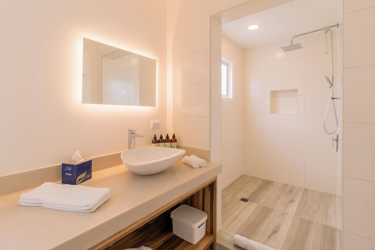 two bedroom apartment | bathroom | shower, eco-friendly toiletries, hair dryer, towels