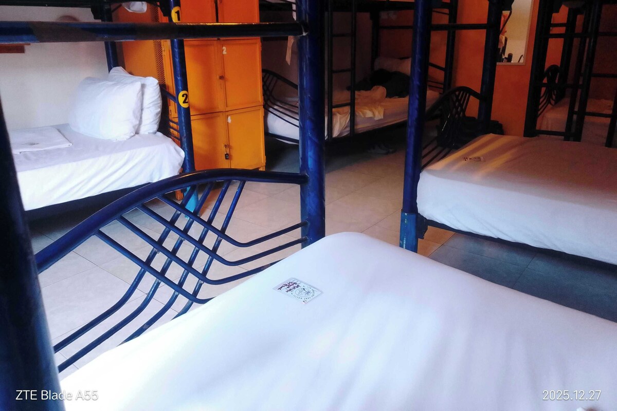 Caja de seguridad en la habitación, wifi gratis y ropa de cama 