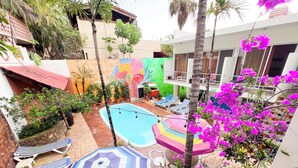 Un área de piscina con sillas de descanso y sombrillas, rodeada de plantas y flores en macetas.