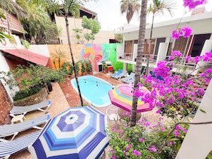 Outdoor pool, sun loungers