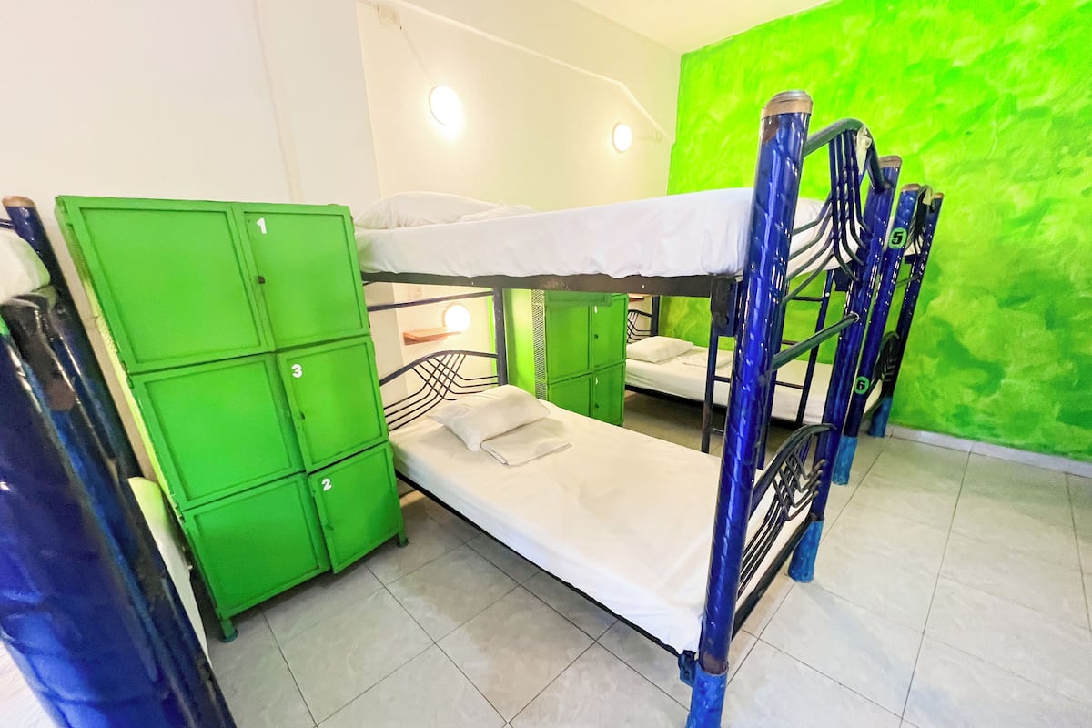 A bunk bed room with green storage units and a green wall.