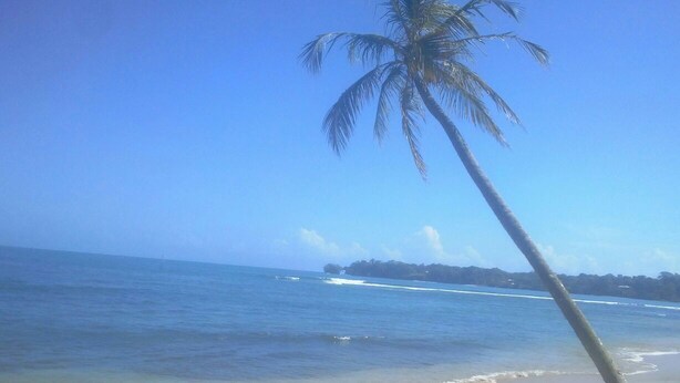 On the beach - Bastimentos Caribean Hotel (Bastimentos)