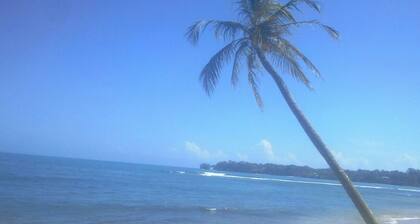 Bastimentos Caribean Hotel