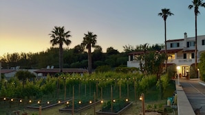 A garden with raised beds, palm trees, and a building with a balcony in the background. - Residence San Domenico (Forio)