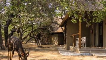 Enceinte de lâhĂ©bergement