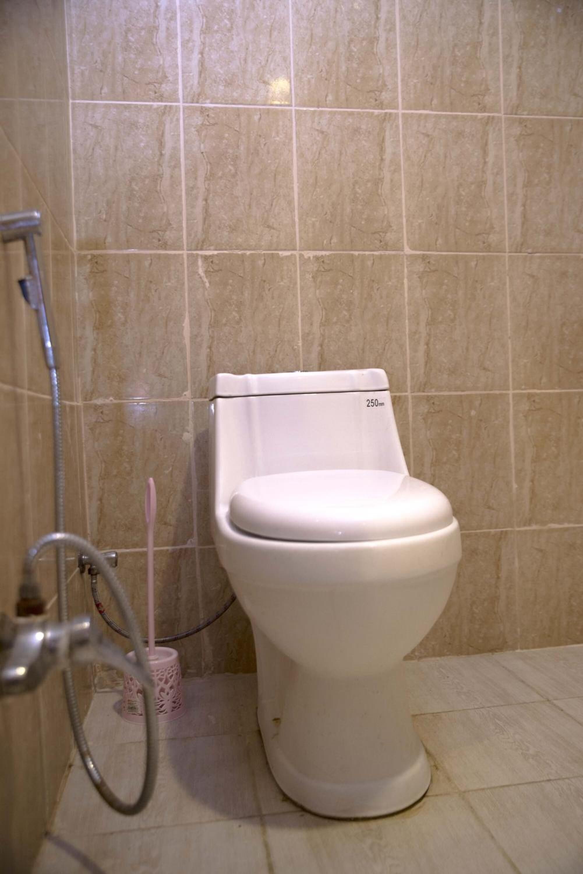 A bathroom with a toilet, a shower, and a toilet brush.