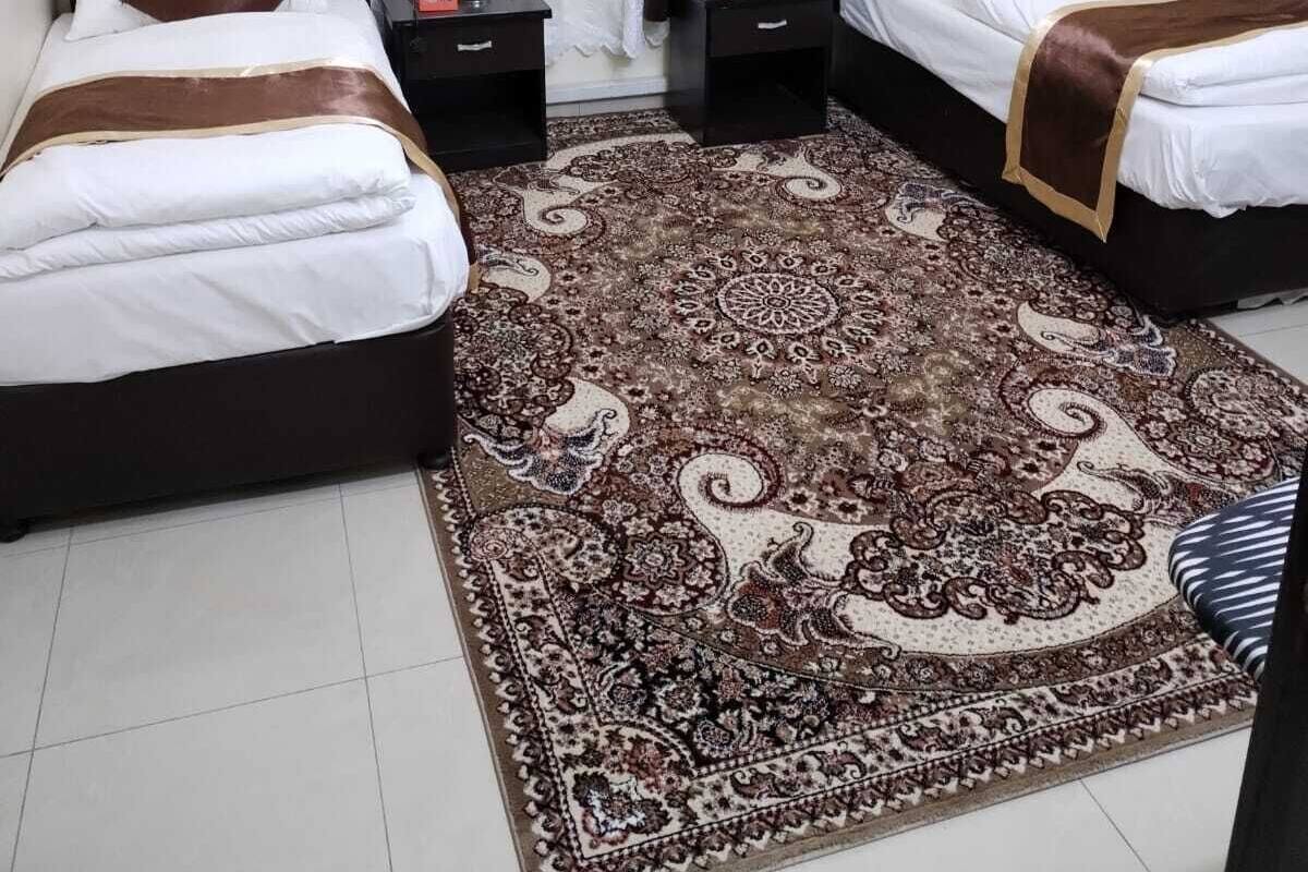 Habitación de hotel con dos camas, un tapete grande de estampado llamativo y vistas al exterior a través de cortinas translúcidas.