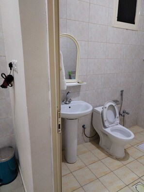 Une salle de bain avec un lavabo sur colonne, des toilettes et un miroir.
