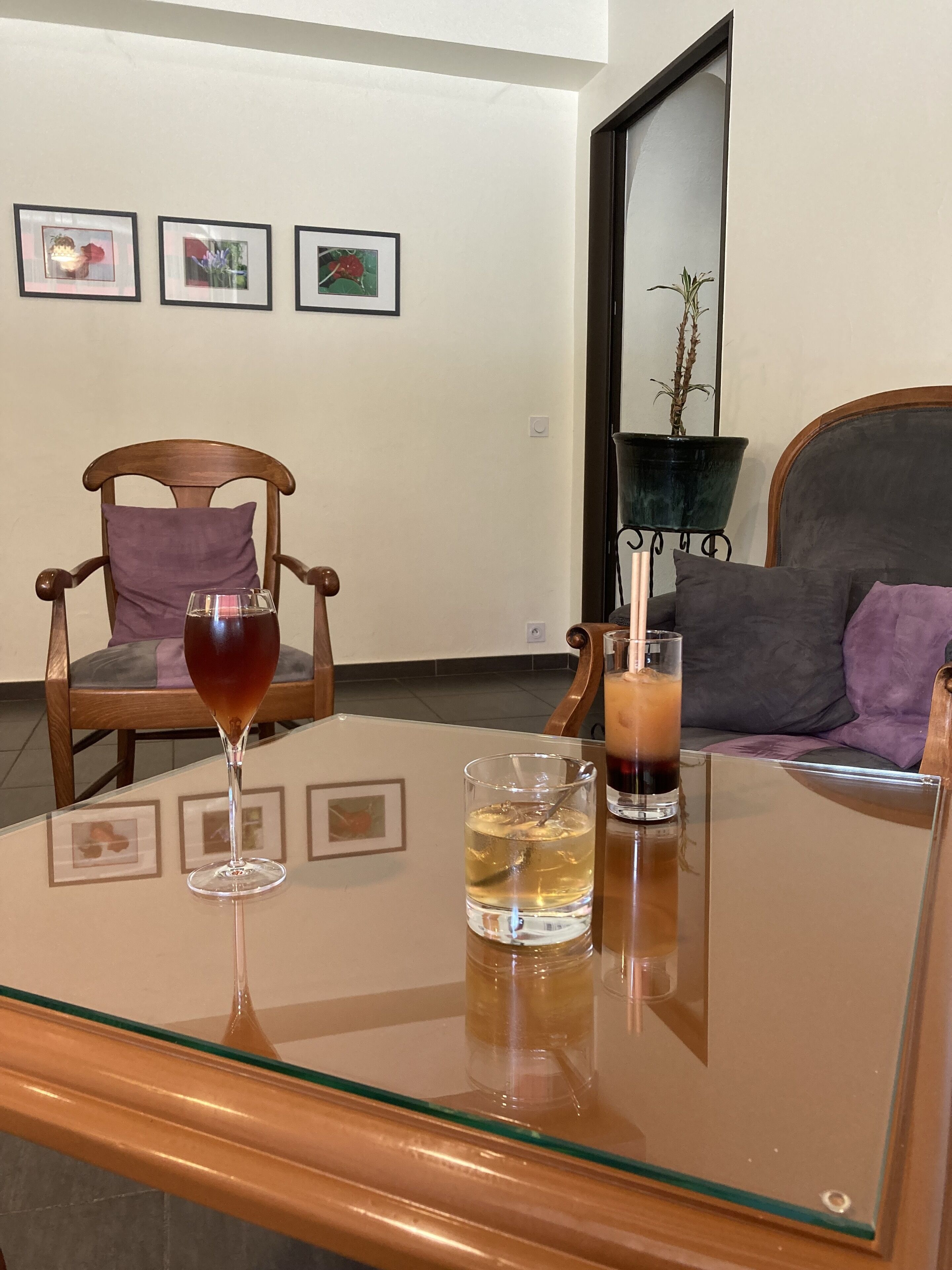 A living room with a glass table, two chairs, a sofa, and a potted plant.