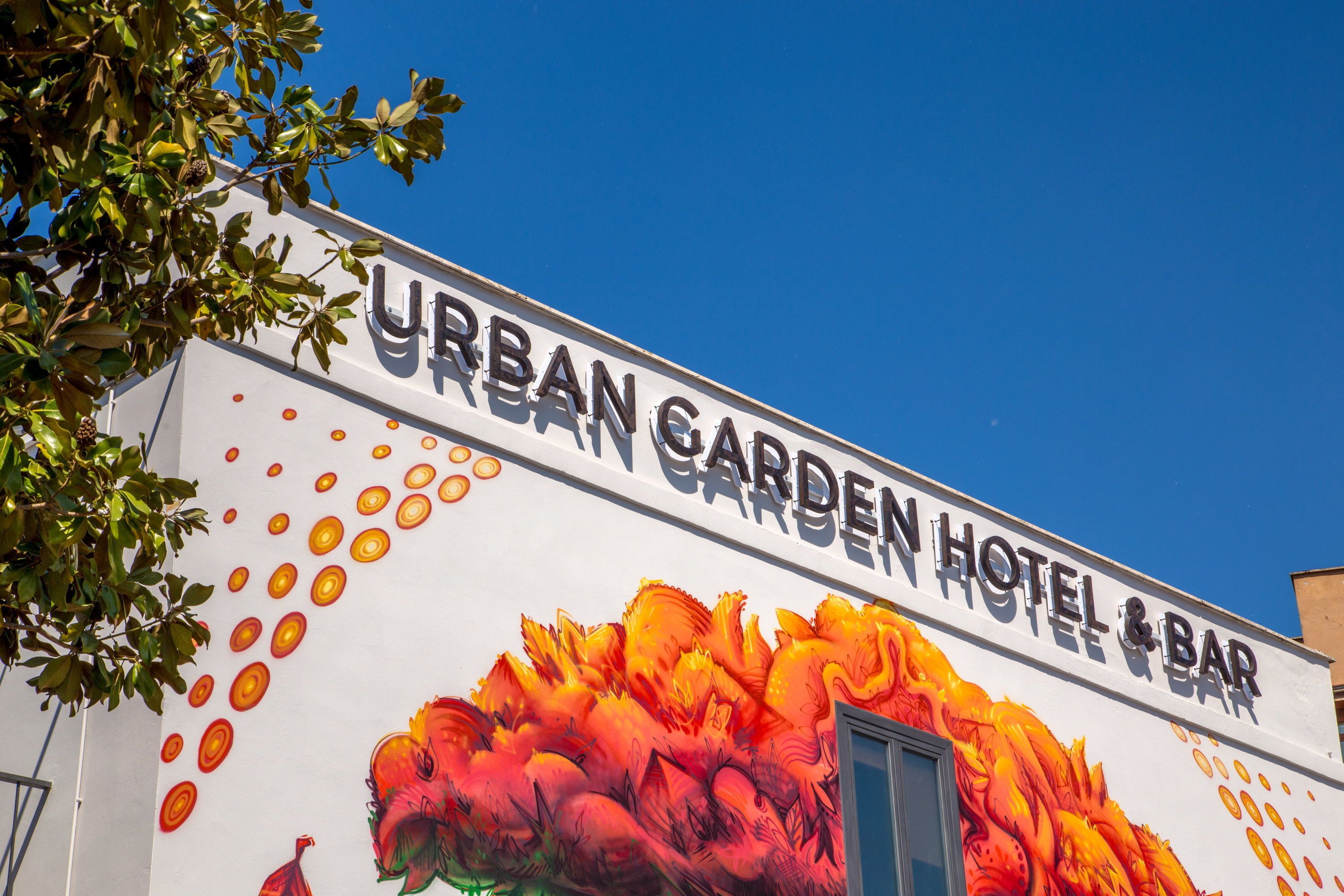 Foto - Urban Garden Hotel