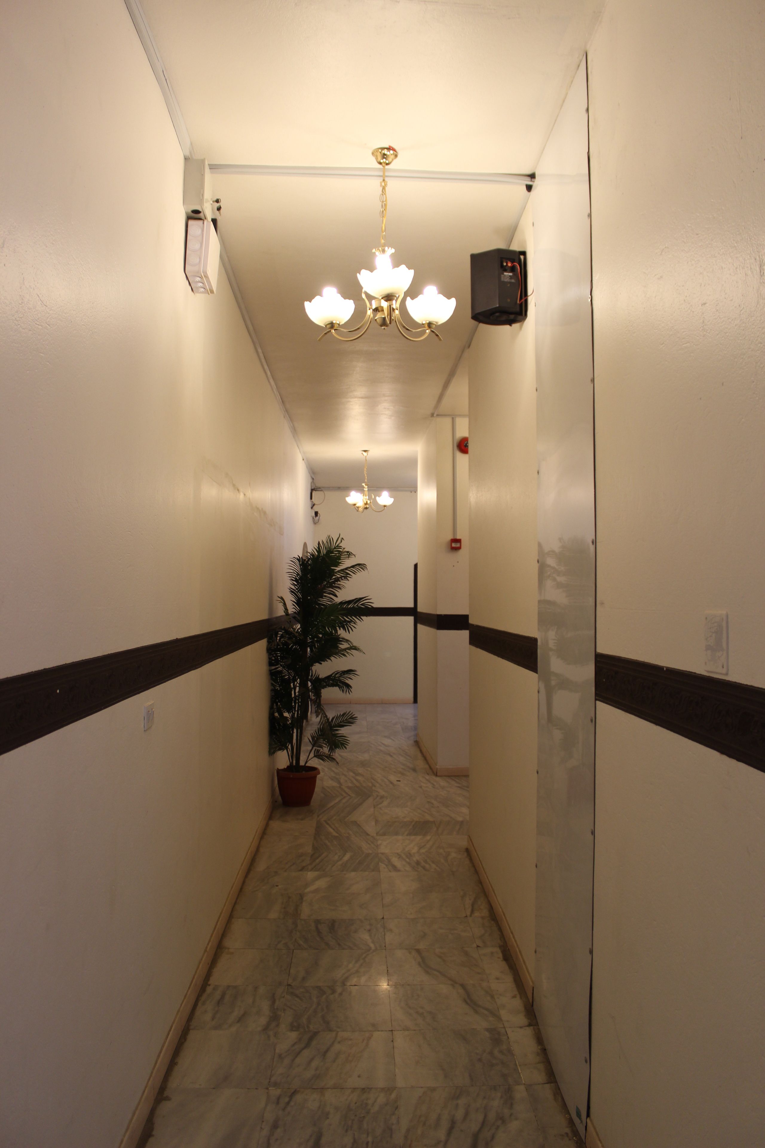 A hallway with marble flooring, a potted plant, and a chandelier.
