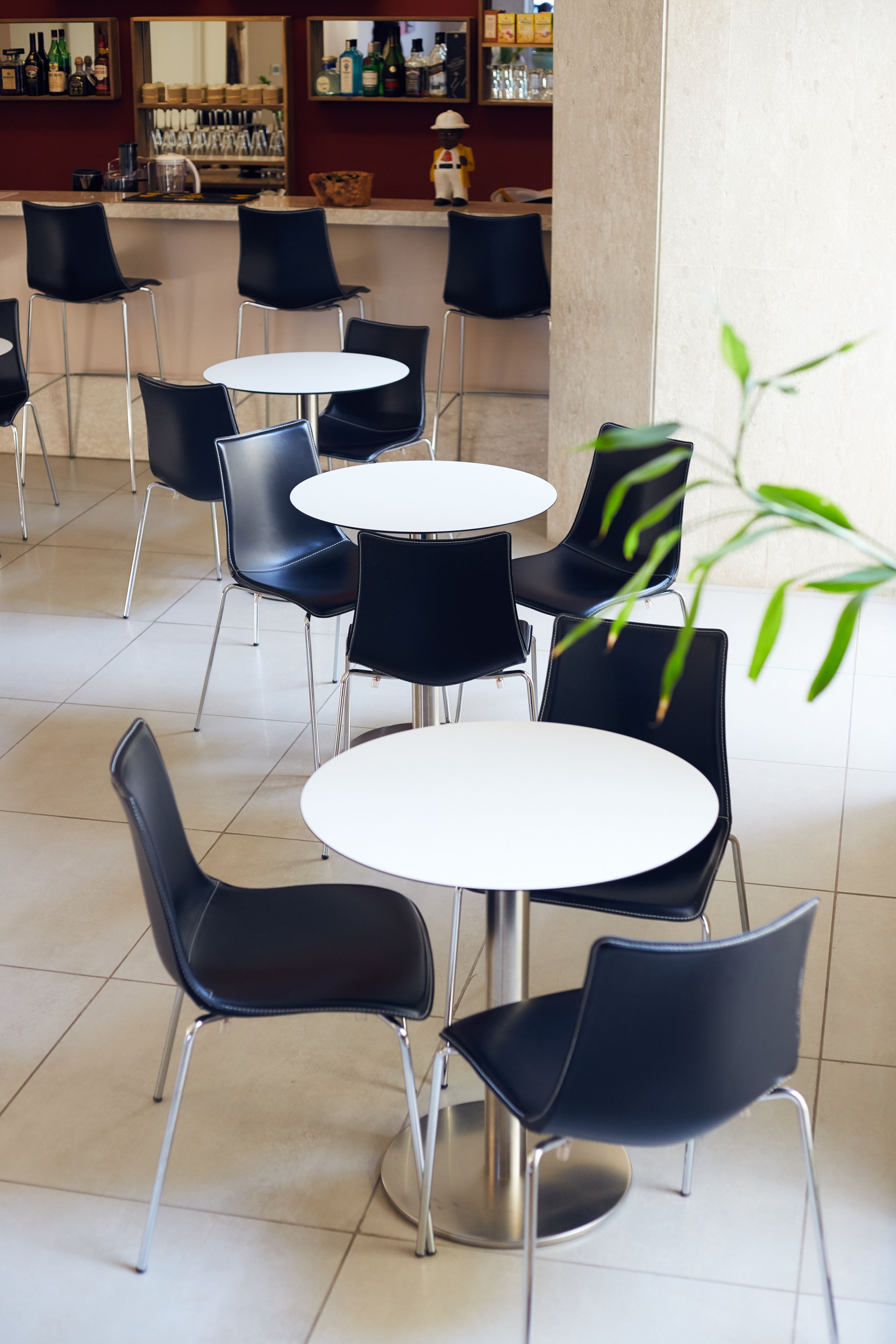Ein modernes Café mit runden Tischen und schwarzen Stühlen, ein Barbereich im Hintergrund und ein Blumentopf.