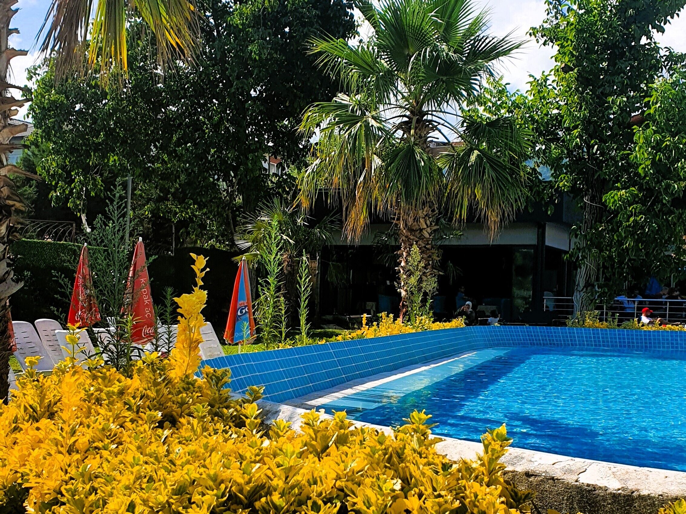 Una piscina rodeada de abundante vegetación y palmeras, con sombrillas rojas y sillas de descanso blancas.