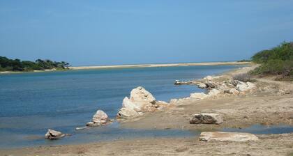 Explorer by Eco Team - Kumana National Park