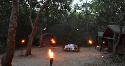 Explorer by Eco Team - Kumana National Park