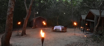 Explorer by Eco Team - Kumana National Park
