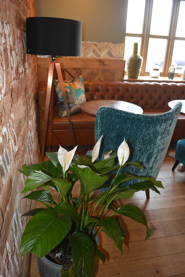 Unclassified image, 1 of 40, button - The Ugly Duckling (Telford)