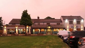 Unclassified image, 5 of 40, button - The Ugly Duckling (Telford)